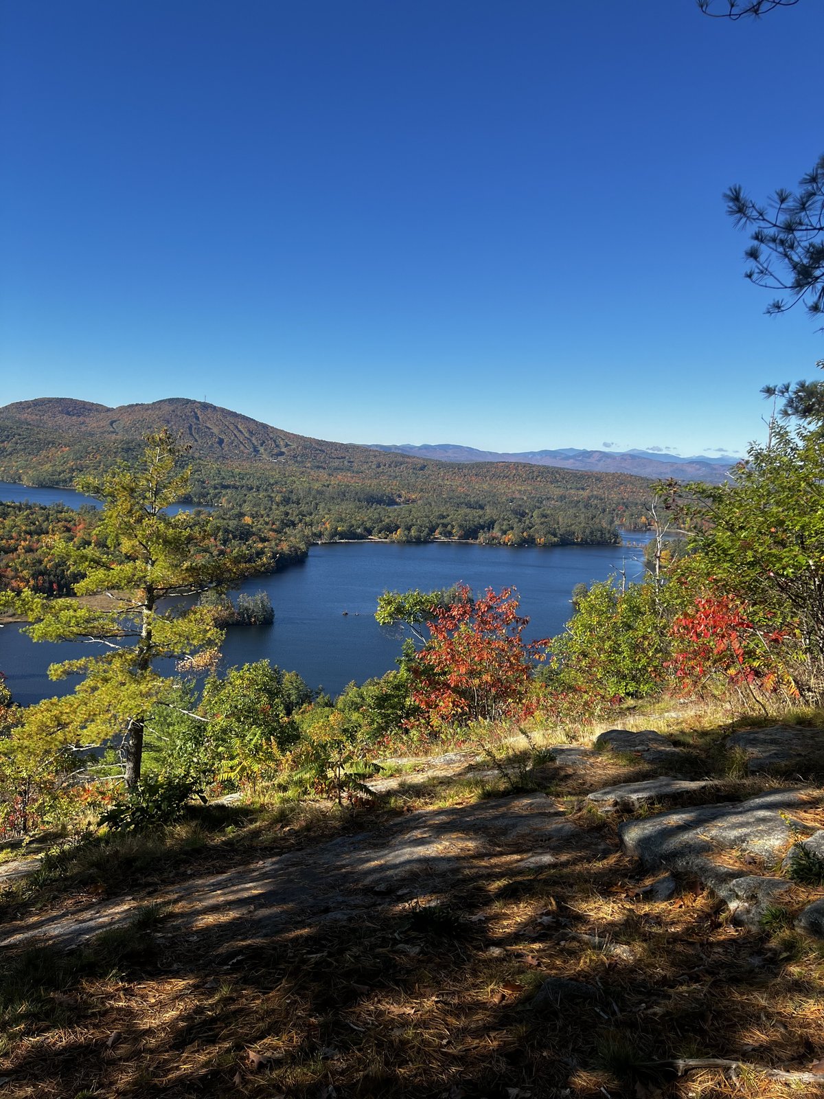 View from Bucks Ledge