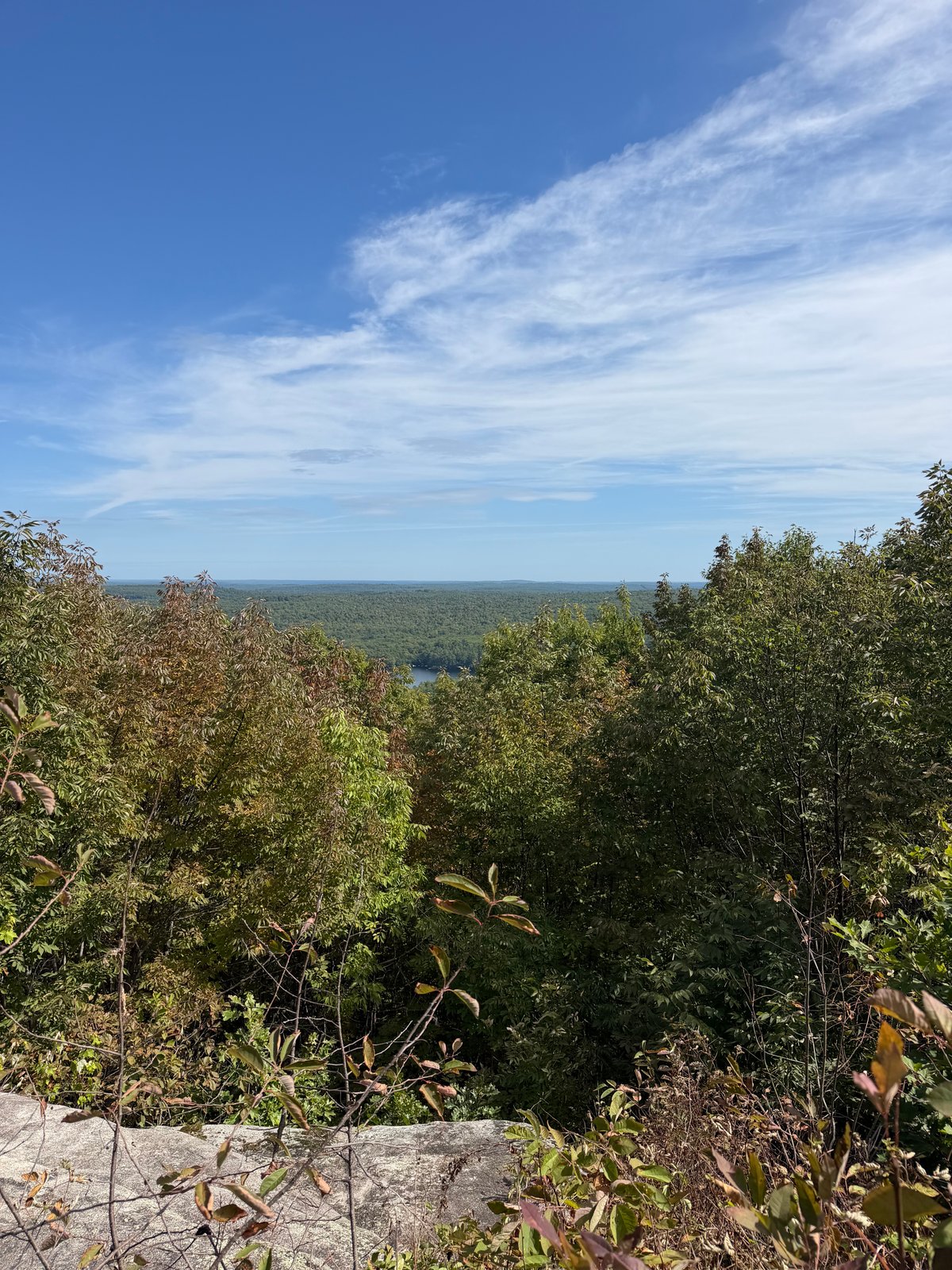 Trail scenery at Black Cat Mountain