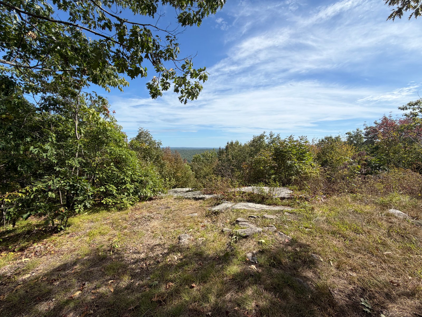 View from Black Cat Mountain Summit Trail
