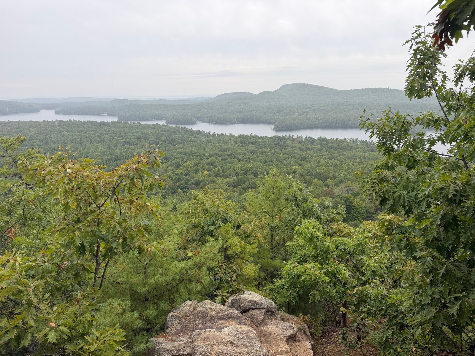 View from Pismire Bluff Trail