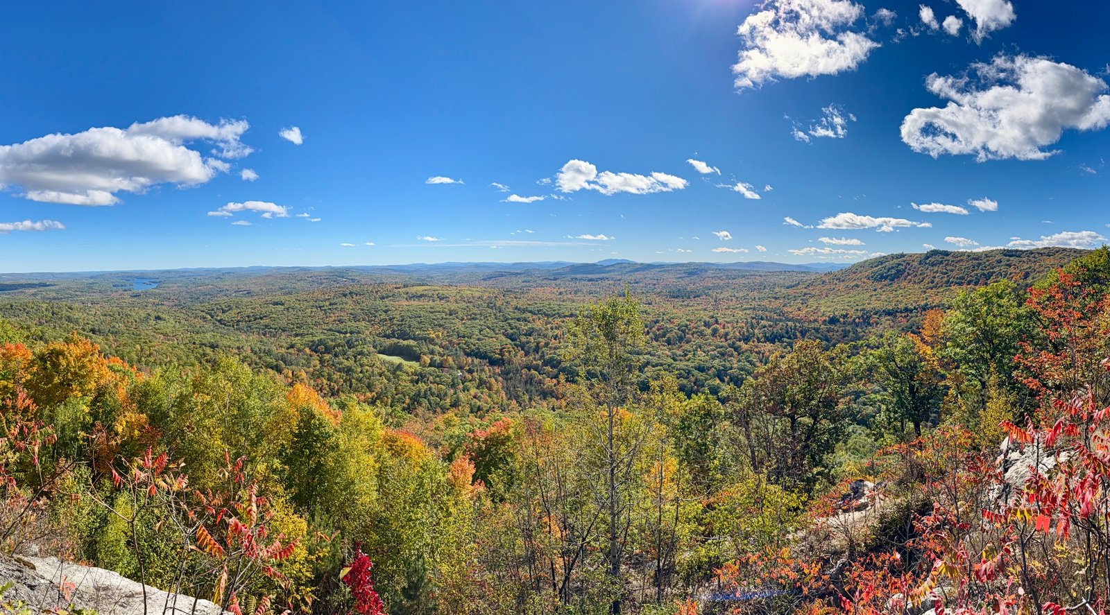 View from Noyes Trail